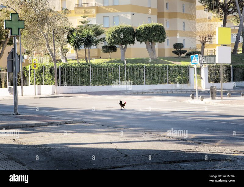 Chicken road oficial in Spain
